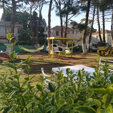 Egeden Istanbul